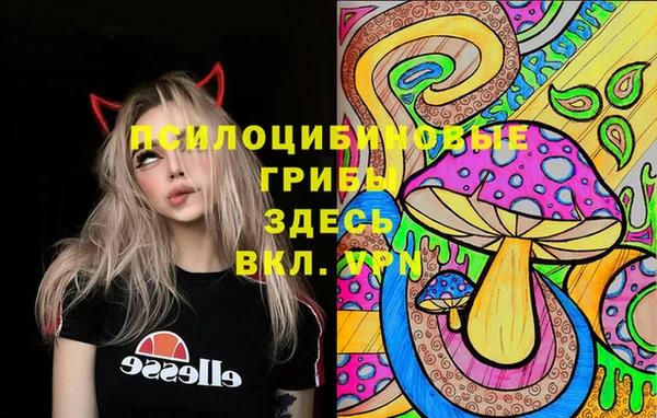 герыч Надым